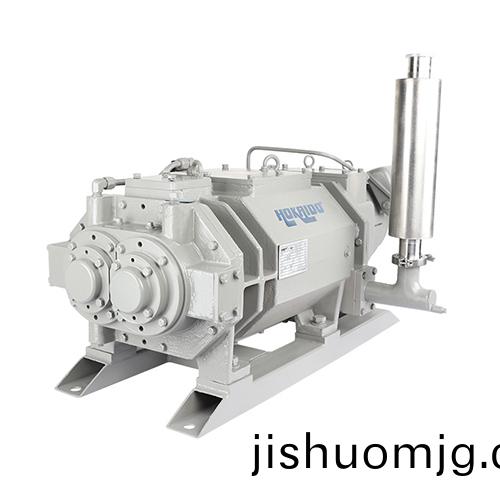 RKD3000榦式螺桿真空泵 好凱悳Hokaido螺桿泵