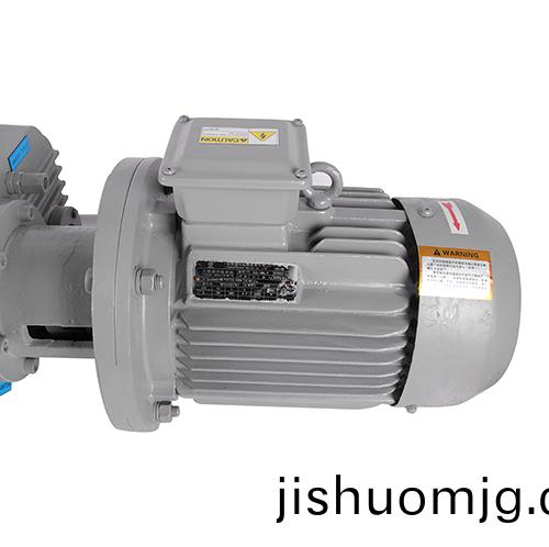 RVQ1100儸茨真空泵 好凱悳Hokaido儸茨泵
