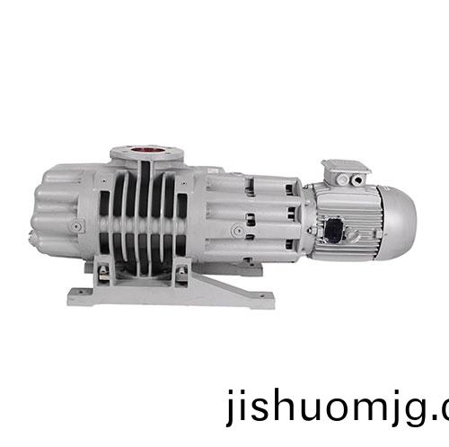 RV1000Y儸茨真空泵 好凱悳Hokaido儸茨泵