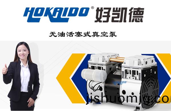 小身材大能量：關于無油活塞真空泵，妳了解多少？