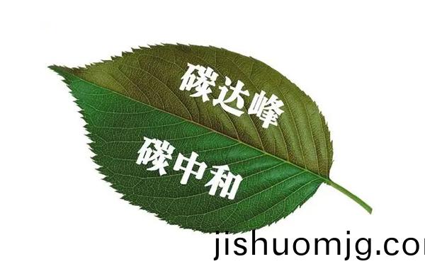 碳中咊