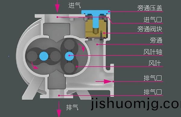 內部結構